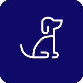 Animal transportation